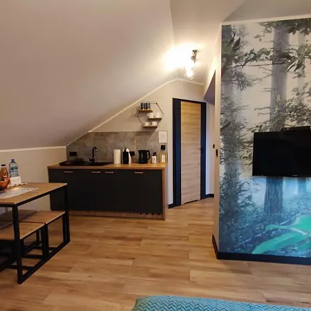 Olimpijska 54 Z Prywatnym Jacuzzi Na Tarasie 3*