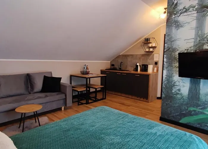 Olimpijska 54 Z Prywatnym Jacuzzi Na Tarasie 3* Szczyrk