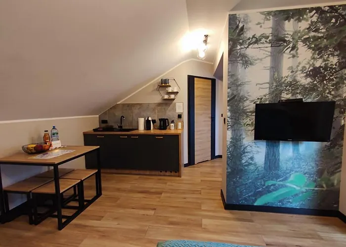 Olimpijska 54 Z Prywatnym Jacuzzi Na Tarasie 3*